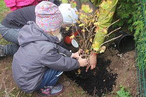 Naschhecke spendiert