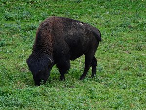 Unterwegs in und um R&uuml;disgdorf
