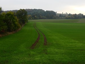 Unterwegs in und um R&uuml;disgdorf