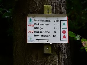 Unterwegs im sch&ouml;nen Harz