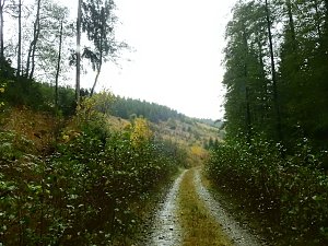 Unterwegs im sch&ouml;nen Harz