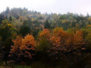 Unterwegs im sch&ouml;nen Harz