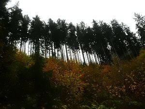 Unterwegs im sch&ouml;nen Harz