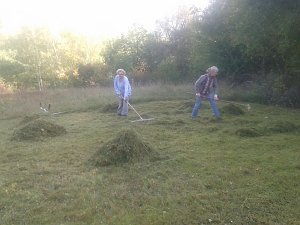 Mahd gegen den Gipsabbau