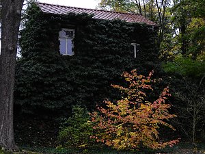 Herbstliche Impressionen