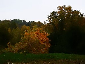 Herbstliche Impressionen