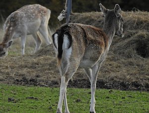 Unterwegs in Sophienhof