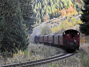 Unterwegs in Sophienhof