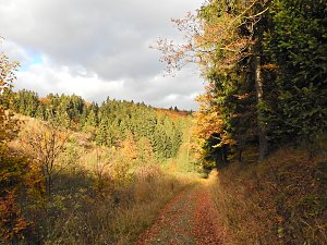 Unterwegs in Sophienhof