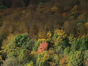 Unterwegs in Sophienhof