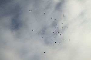 12 Schritte zum 500. Reformationsjubil&auml;um, den ersten tat man heute in der Blasii-Kirche in Nordhausen