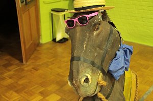 In Harztor lie&szlig; man heute das Musical "Ritter Rost feiert Geburtstag" noch einmal Revue passieren