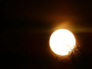 Gefunden: Der Supermond