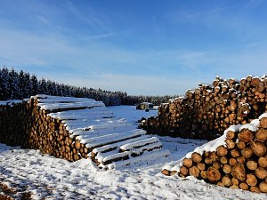 Nochmal Winter