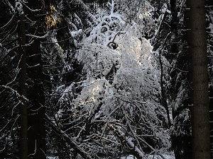 Nochmal Winter