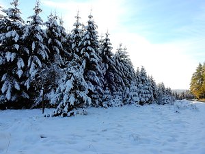 Nochmal Winter