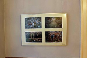 Landesfotoschau in Nordth&uuml;ringen