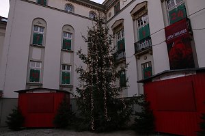 Es (vor)weihnachtet in Nordhausen