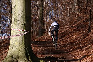 Querfeldein durchs Nordh&auml;user Gehege