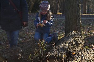 Advent im Park Hohenrode