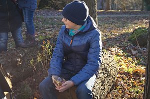 Advent im Park Hohenrode