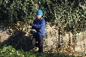 Advent im Park Hohenrode