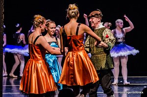 Die Sch&ouml;ne und das Biest ein Ballettm&auml;rchen.