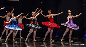 Die Sch&ouml;ne und das Biest ein Ballettm&auml;rchen.