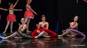 Die Sch&ouml;ne und das Biest ein Ballettm&auml;rchen.