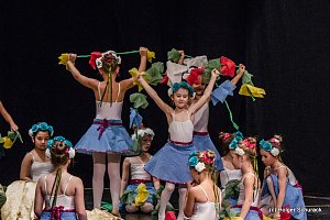 Die Sch&ouml;ne und das Biest ein Ballettm&auml;rchen.