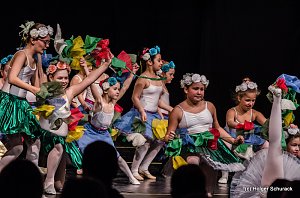 Die Sch&ouml;ne und das Biest ein Ballettm&auml;rchen.