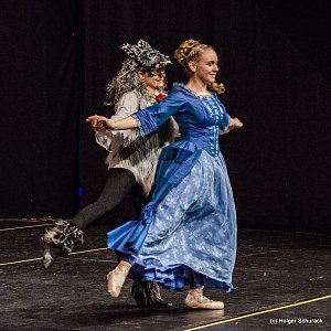 Die Sch&ouml;ne und das Biest ein Ballettm&auml;rchen.