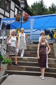 Altstadtfest 2009