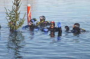 Ins Warme abgetaucht