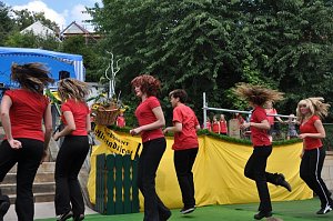 Altstadtfest 2009