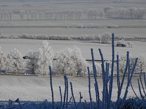Ein Traum in Wei&szlig;