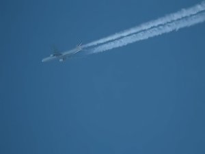 Ein Traum in Wei&szlig;