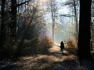 Ein Traum in Wei&szlig;