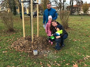 In diesem Jahr gepflanzt: Matheo Apitius