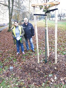 In diesem Jahr gepflanzt: Stella-Saye Huke