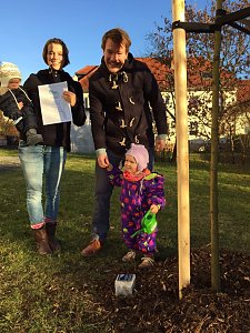 Baumpate: Hirseland