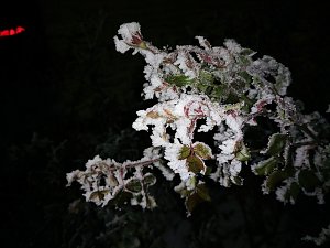 Kleines ganz gro&szlig;