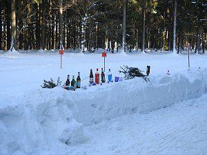 Schlittenhunderennen in Benneckenstein