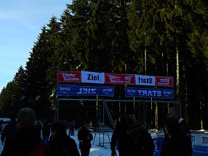 Schlittenhunderennen in Benneckenstein