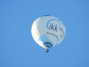 Schlittenhunderennen in Benneckenstein