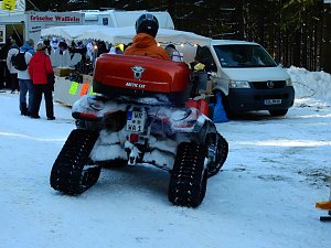 Schlittenhunderennen in Benneckenstein
