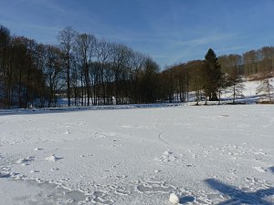Winter auf der Ruine