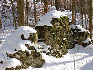 Winter auf der Ruine