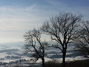 Winter auf der Ruine