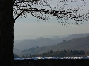 Winter auf der Ruine